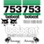 Bobcat 753 Advantage Decal Kit