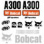 Bobcat A300 Decal Kit