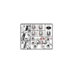 Skid Steer Controls Decal 6703723